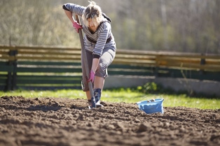 woman digging in a garden