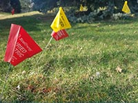 Red and yellow flags marking utilities under the grass in a yard