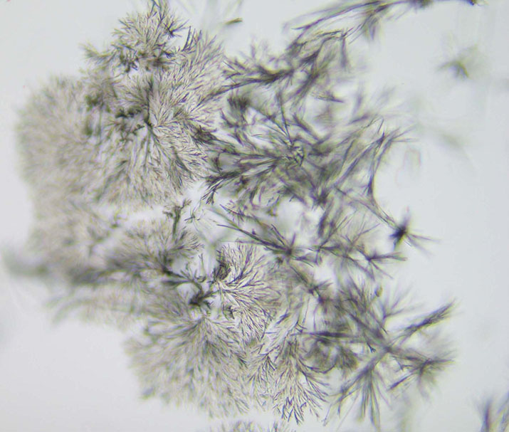 Photo of heroin microcrystals