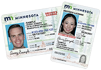 New Minnesota driver's licenses in horizontal and vertical orientations