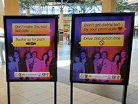 Prom safety campaign boards