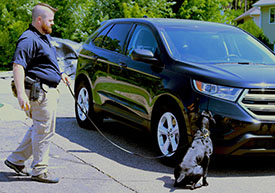 An AGE agent working with a K-9 to inspect a vehicle