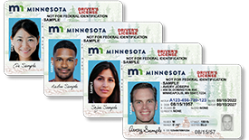 Four examples of Minnesota driver's license cards