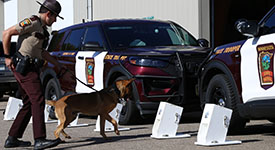 Minnesota State Patrol K-9 Robie and his handler searching boxes on the ground