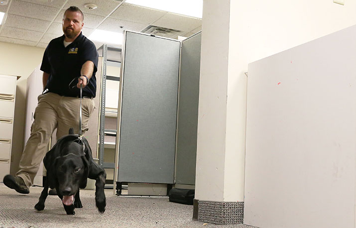 AGE Agent Brad Rezny works with his K-9 partner Bia