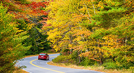 A car driving through road with beautiful autumn foliage trees.