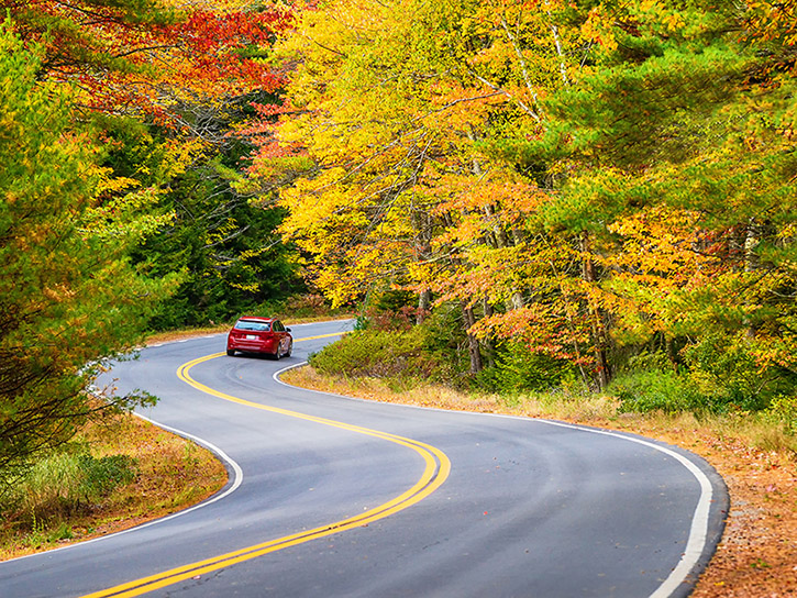 A car driving through road with beautiful autumn foliage trees