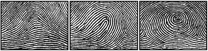 Three images of fingerprints.