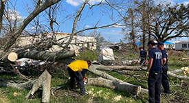 Minnesota firefighters cutting up downed trees in Louisiana