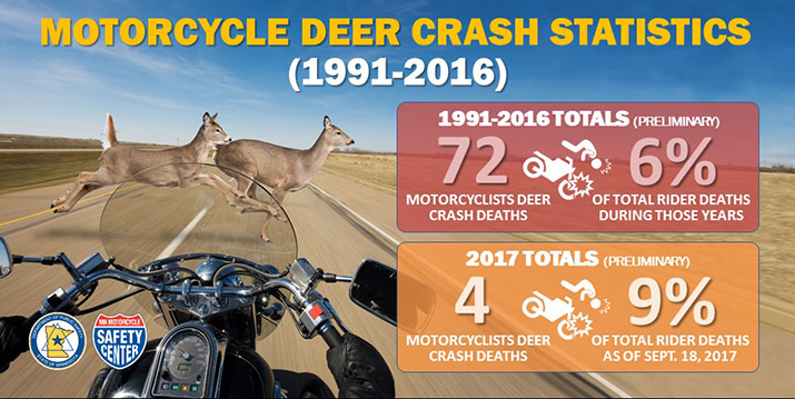 Motorcycle-deer crash graphic