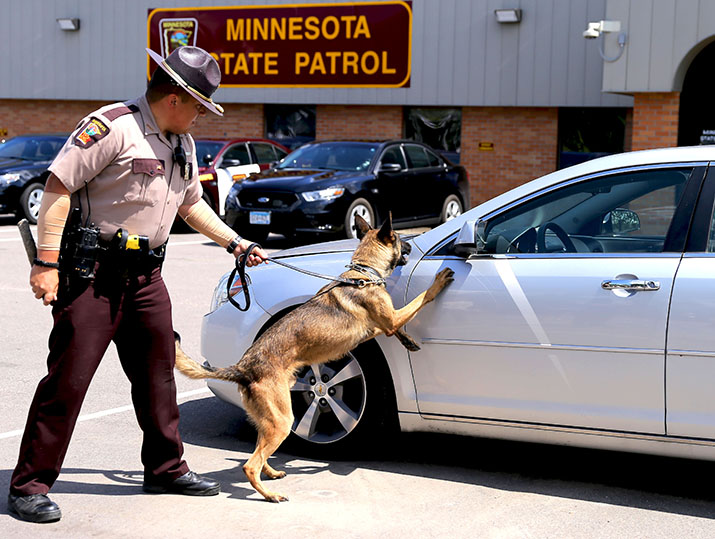 Trooper Kyle Goodwin and K-9 Keno demonstrate a narcotics search of a vehicle.