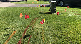 Lawn with spray paint and flags marking underground utilities