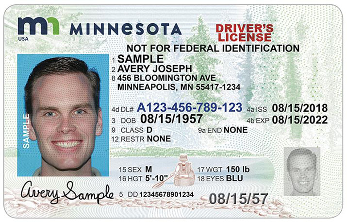 How to replace your lost driver's license, vehicle title or