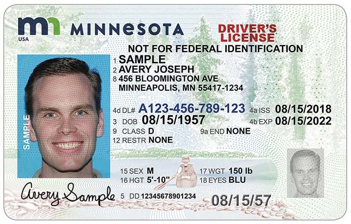 Standard Minnesota Driver's License
