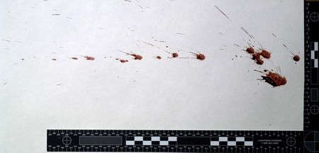 a bloodstain pattern that was created by blood drops released from an object due to its motion