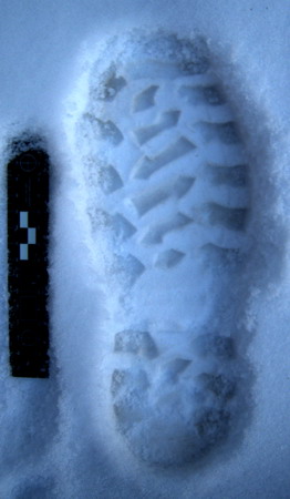 an impression from the tread in snow