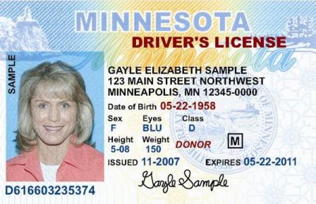 dmv drivers license check