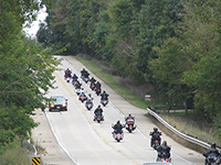 Photo of a group of motorcycles driving on a winding road.