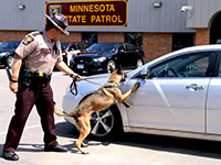 Trooper Kyle Goodwin and K-9 Keno demonstrate a narcotics search on the exterior of a vehicle.