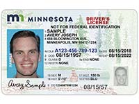Standard Minnesota driver's license