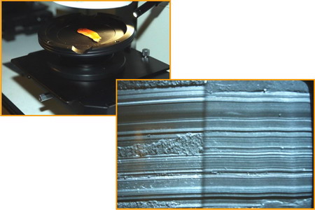 a cast on one stage of a comparison microscope and the side-by-side comparison of a question sample to a known sample